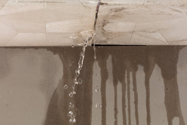 Professional Structural Drying technician working in New Era, MI
